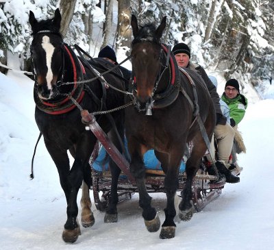 Horse  Sledge_07.jpg