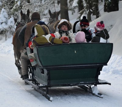 Horse  Sledge_09.jpg
