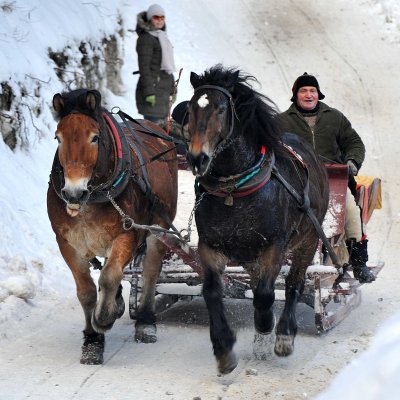 Horse  Sledge_10.jpg