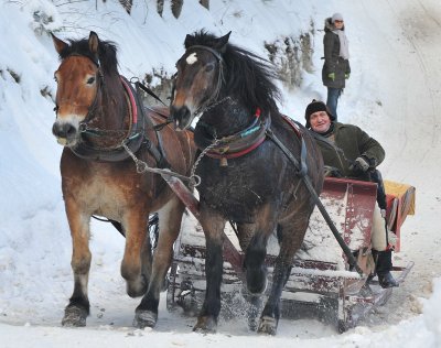 Horse  Sledge_11.jpg