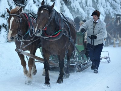 Horse  Sledge_15.jpg