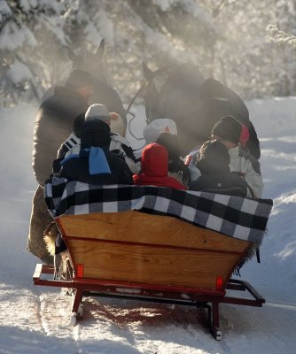 Horse  Sledge_18.jpg