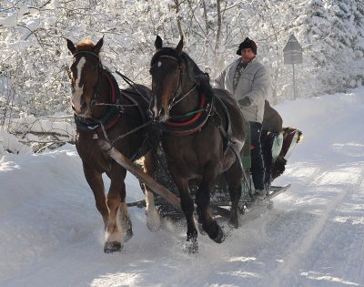 Horse  Sledge_19.jpg