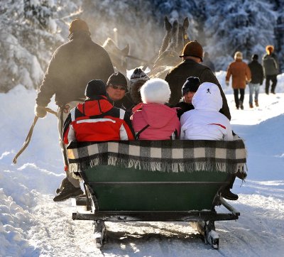 Horse  Sledge_22.jpg