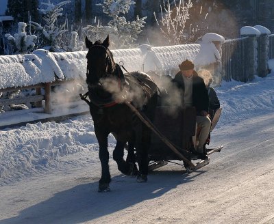 Horse  Sledge_26.jpg
