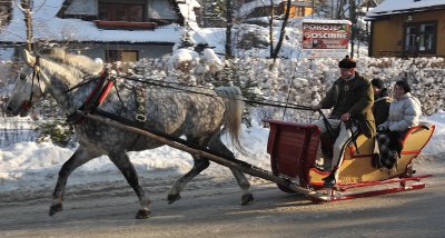 Horse  Sledge_27.jpg