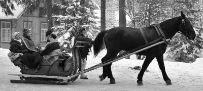 Horse  Sledge_28.jpg