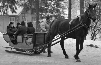 Horse  Sledge_29.jpg