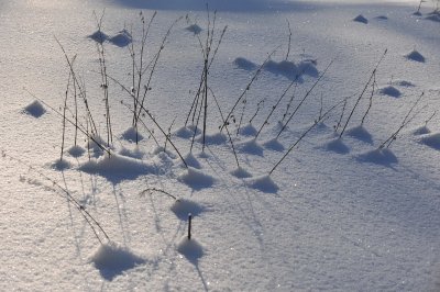 Ice  Snow_05.jpg