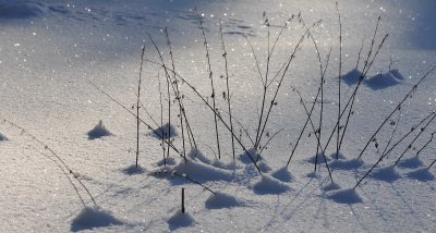 Ice  Snow_06.jpg