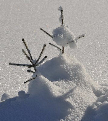 Ice  Snow_09.jpg