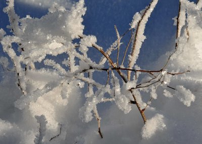 Ice  Snow_17.jpg