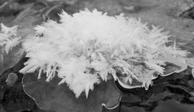Ice  Snow_22.jpg
