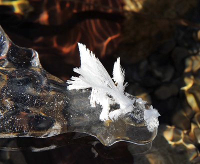 Ice  Snow_42.jpg