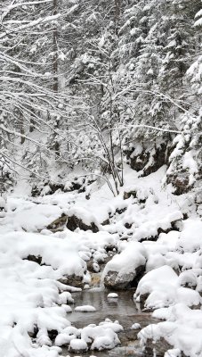 Winter Scenes_02.jpg