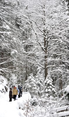 Winter Scenes_03.jpg
