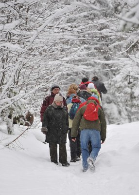 Winter Scenes_04.jpg