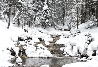 Winter Scenes_05.jpg