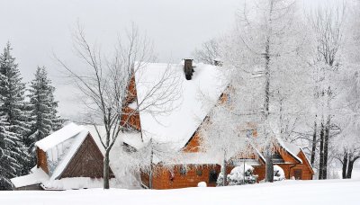 Winter Scenes_11.jpg