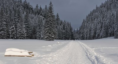 Winter Scenes_12.jpg