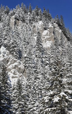 Winter Scenes_15.jpg