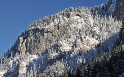 Winter Scenes_21.jpg