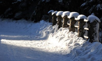 Winter Scenes_22.jpg