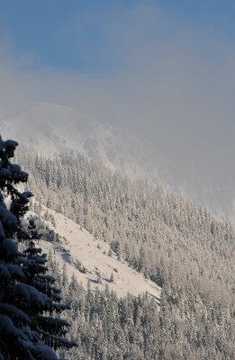 Winter Scenes_24.jpg