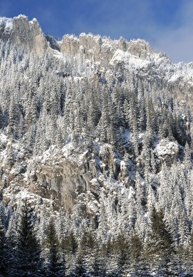 Winter Scenes_26.jpg
