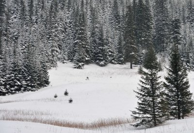 Winter Scenes_28.jpg