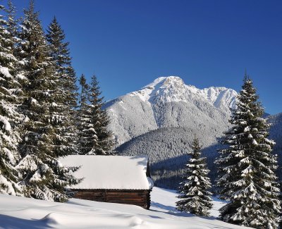 Winter Scenes_31.jpg