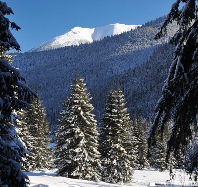 Winter Scenes_32.jpg