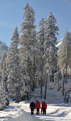 Winter Scenes_43.jpg