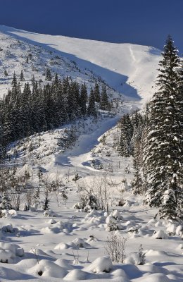 Winter Scenes_47.jpg