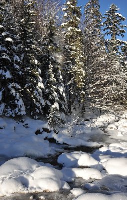 Winter Scenes_52.jpg
