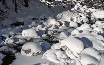Winter Scenes_53.jpg