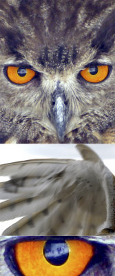 00H32