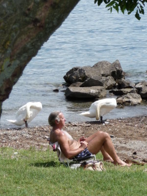 man with two swans