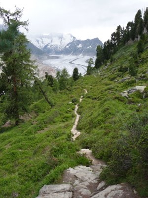 Aletsch upper path towards glacier