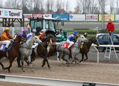 img_8327c.jpg (Ramonia Arabians Finalhandicap)