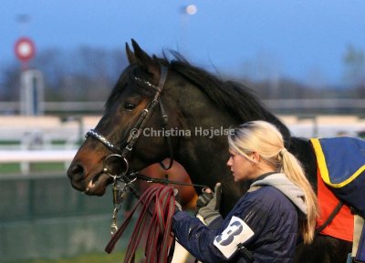 img_8993c.jpg (Just Nu)