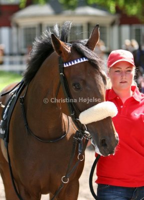 img_8711b.jpg (Lady Mary)