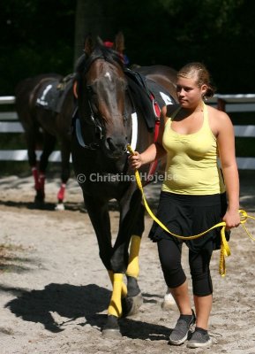 img_8791b.jpg (Quilboquet)