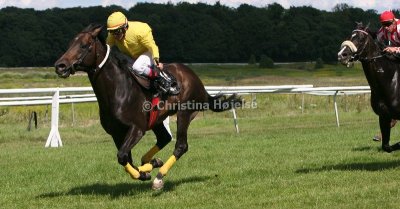 img_8890b.jpg (Quilboquet)