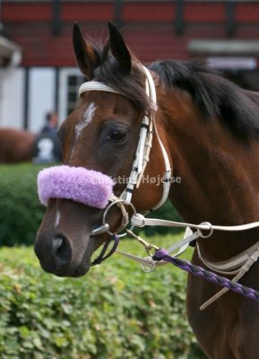 img_9112b.jpg (Carlos Girl)