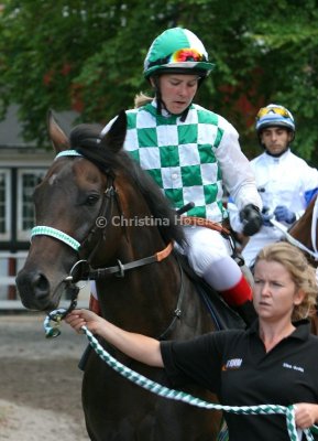 img_9335b.jpg (Bongo Bello)