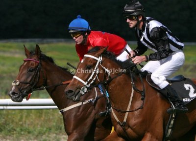 img_9639b.jpg (Nottingham & Zebulon Zaid)