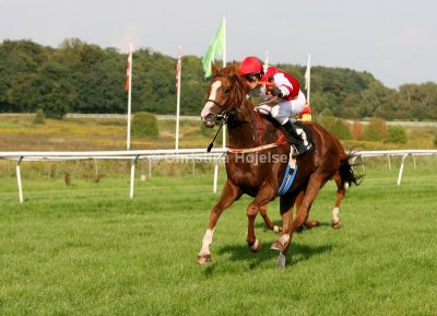 img_3596c.jpg (Finish First)