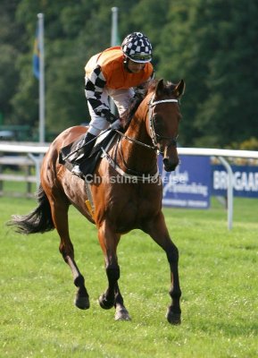 img_3622c.jpg (Maximus)