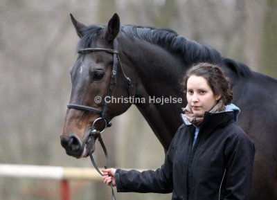 8680a.jpg (Sonny)